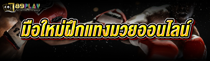 มือใหม่ฝึกแทงมวยออนไลน์ 